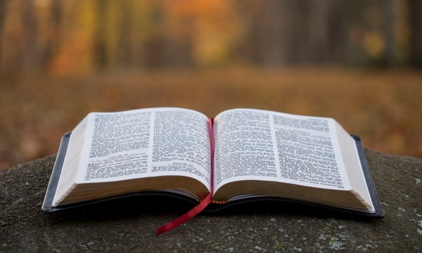 image shows an open Bible