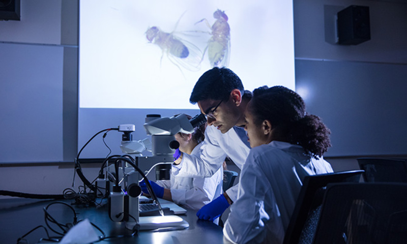 two students in science lab looking through a microscope