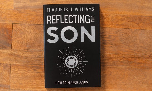 image shows book cover for Reflecting the Son