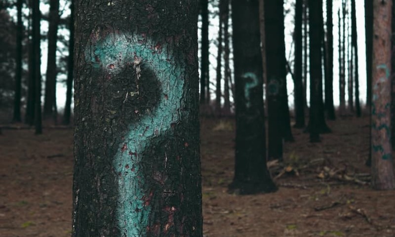 blue question mark on tree trunk