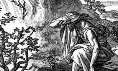 Burning Bush_Charles Foster