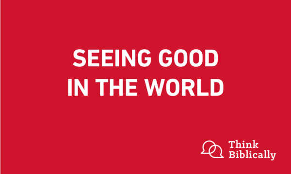 Seeing Good in the World
