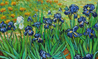 Van Gogh's irises