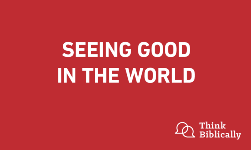 Seeing Good in the World
