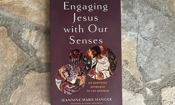 image shows the book cover