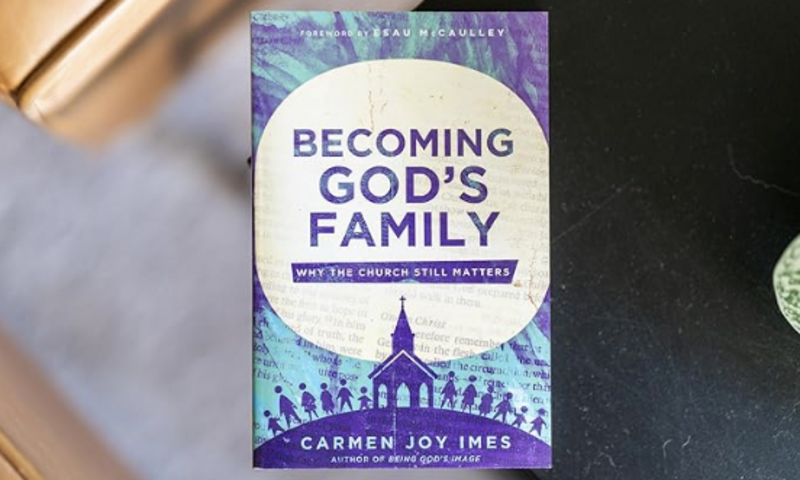 image shows book cover