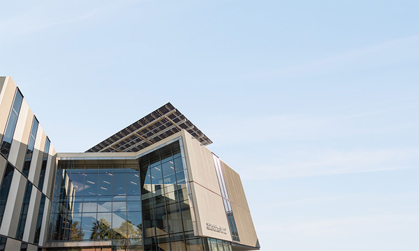 angled view of Lim Center