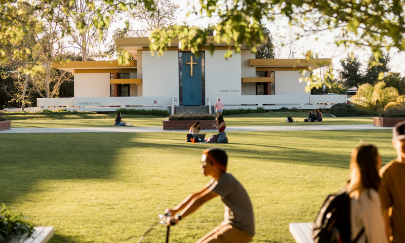 A group of people on a lawn
