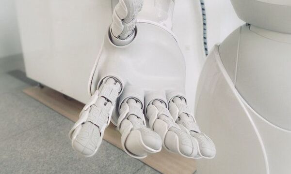 Robotic Hand