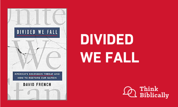 Divided We Fall