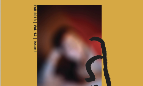 cover of the point magazine displaying a blurry photo and an abstract line drawing