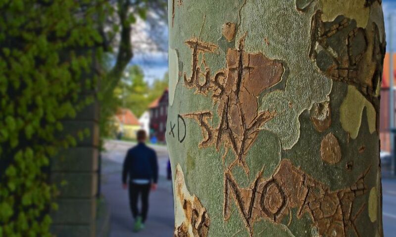 Image shows the words "Just Say No' carved into wood