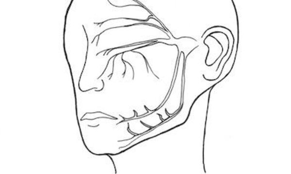 Ken Berding Book Cover