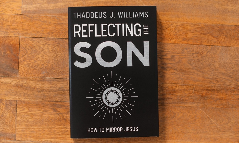 image shows book cover for Reflecting the Son