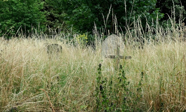 image shows graveyard overgrown