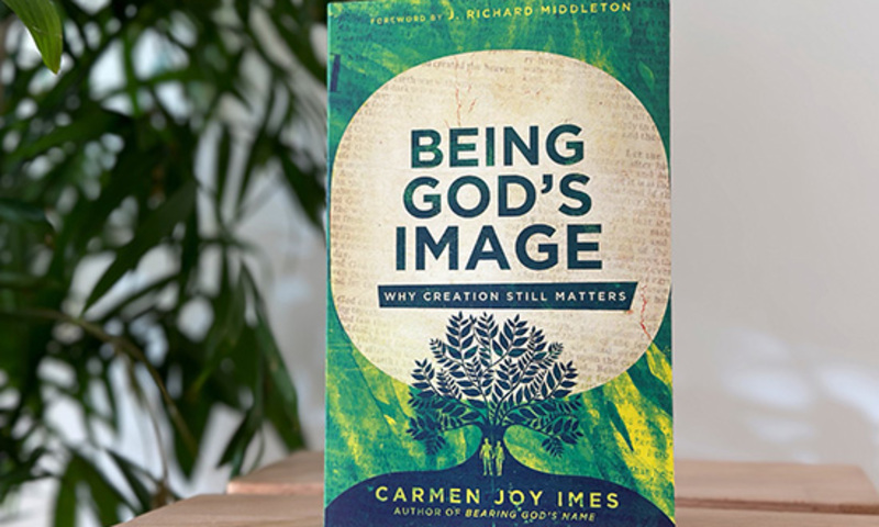 Being God's Image book cover