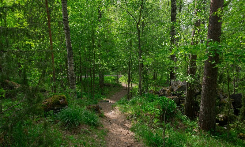 image shows a wooded area with trees and a path