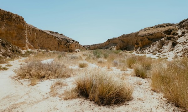 image shows a desert