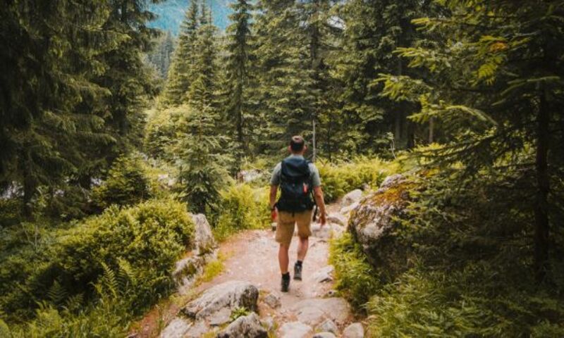 Image shows man hiking on trail in woods