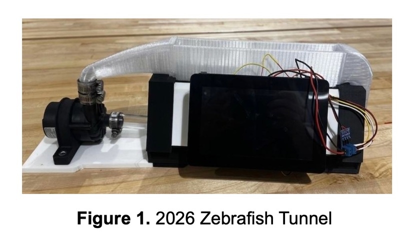 Zebrafish Tunnel SEI 2026
