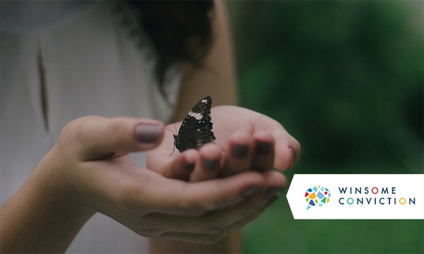 person holding butterfly