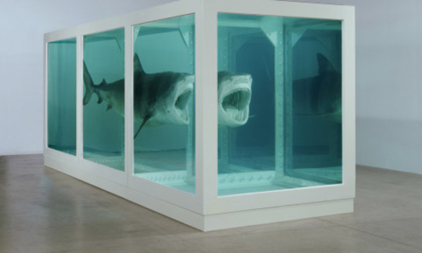 sculpture of a shark in a tank