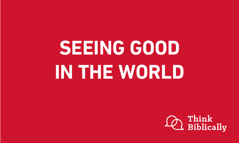 Seeing Good in the World