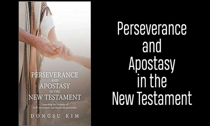 Cover of book, "Perseverance and Apostasy in the New Testament" by Dongsu Kim