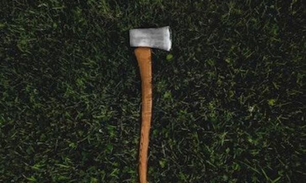 Axe in grass