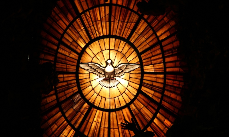 image shows a bright window with a dove in the center 