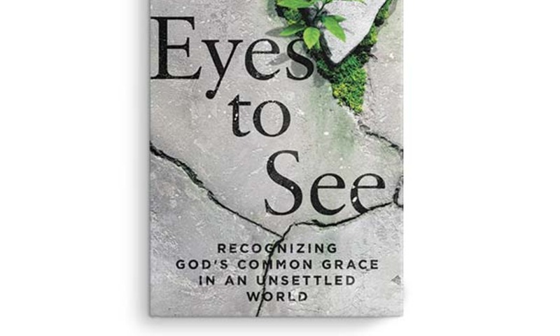 book cover for eyes to see