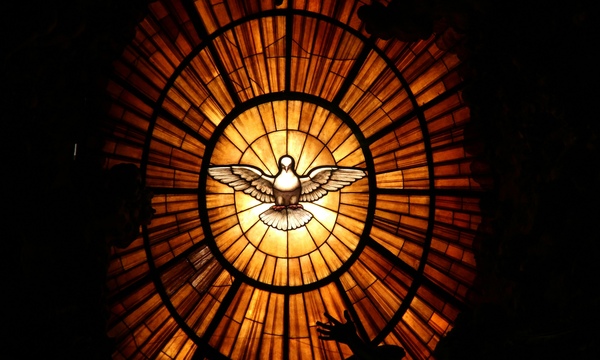 image shows a bright window with a dove in the center 