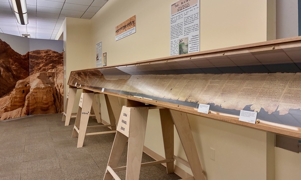 image shows long scroll in the exhibit 