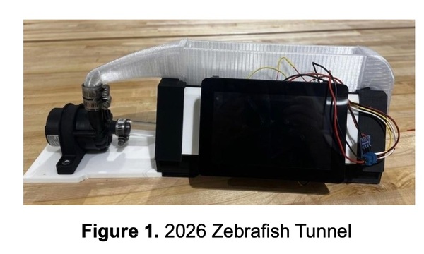 Zebrafish Tunnel SEI 2026