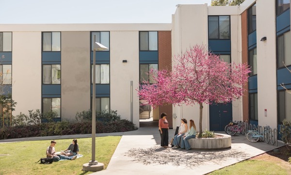 image shows students outside of Sigma