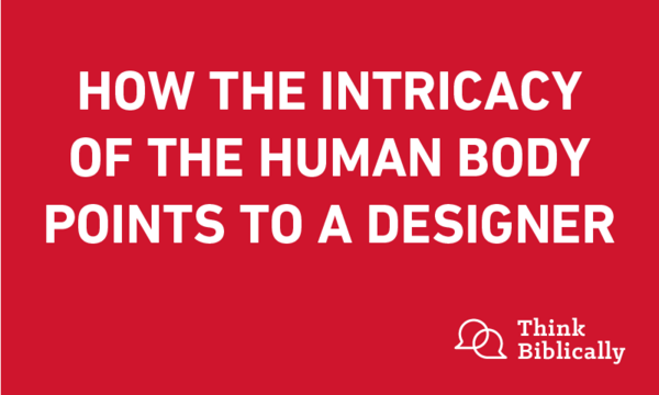 How the Intricacy of the Human Body Points to a Designer