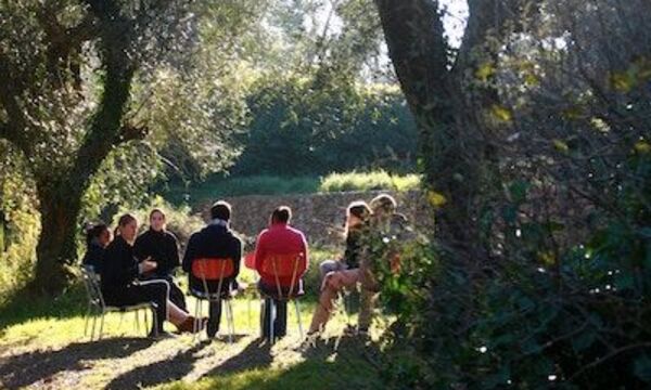 Image shows group studying