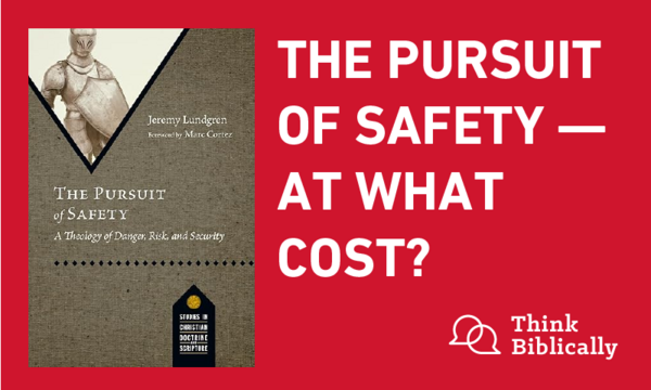 The Pursuit of Safety — At What Cost?