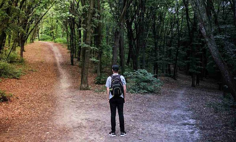 Young man standing in forest at a fork in the path