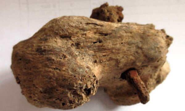 Image by Adam Williams, Albion Archaeology