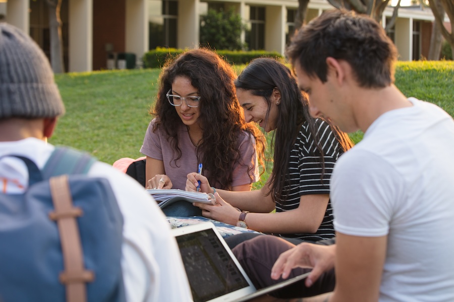 Students studying together outside on a lawn.