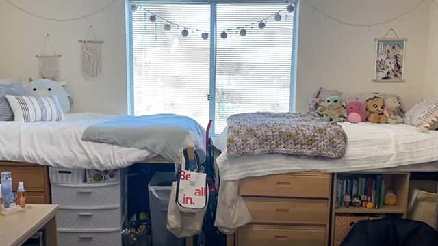 two beds next to a window in a dorm room