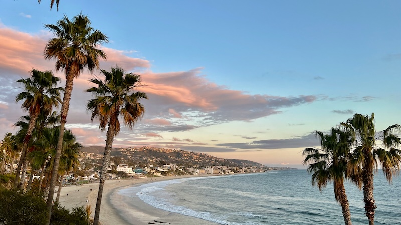 View of the Orange County coast featuring the ocean and palm trees.