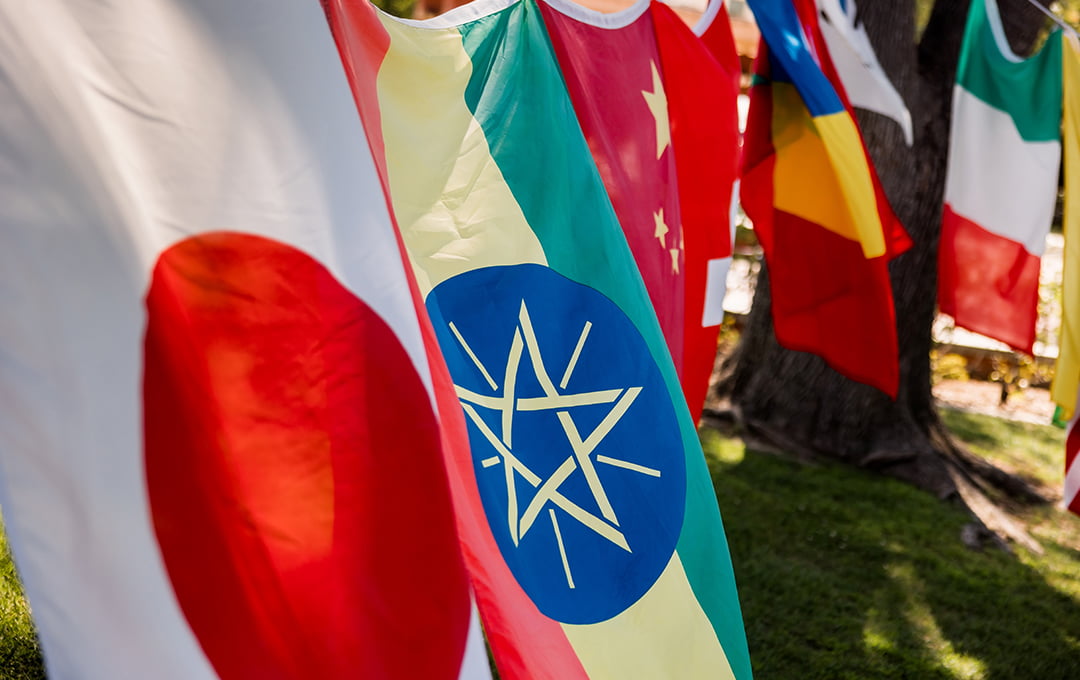 International flags hanging outside