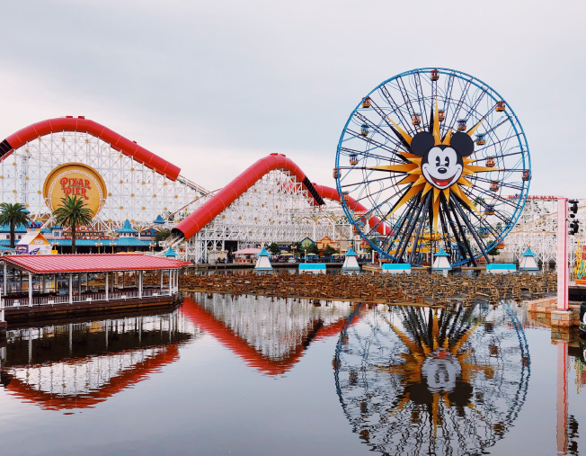 a roller coaster and a ferris wheel