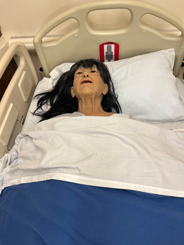 Manikin 1