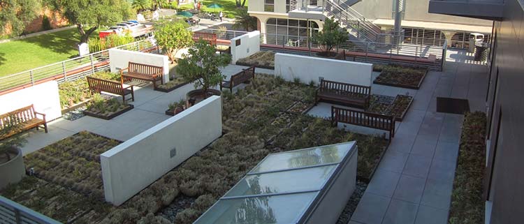 Riady Rooftop Garden