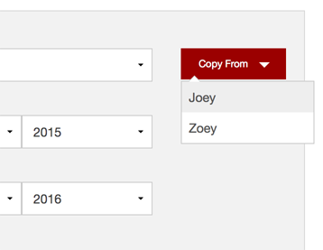 Screenshot: copy