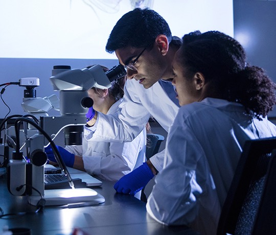 A professor and student view flies under a microscope.