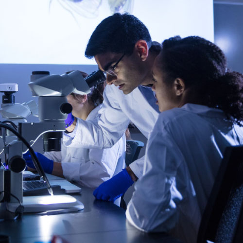 Science professor and student in a laboratory, looking through a microscope